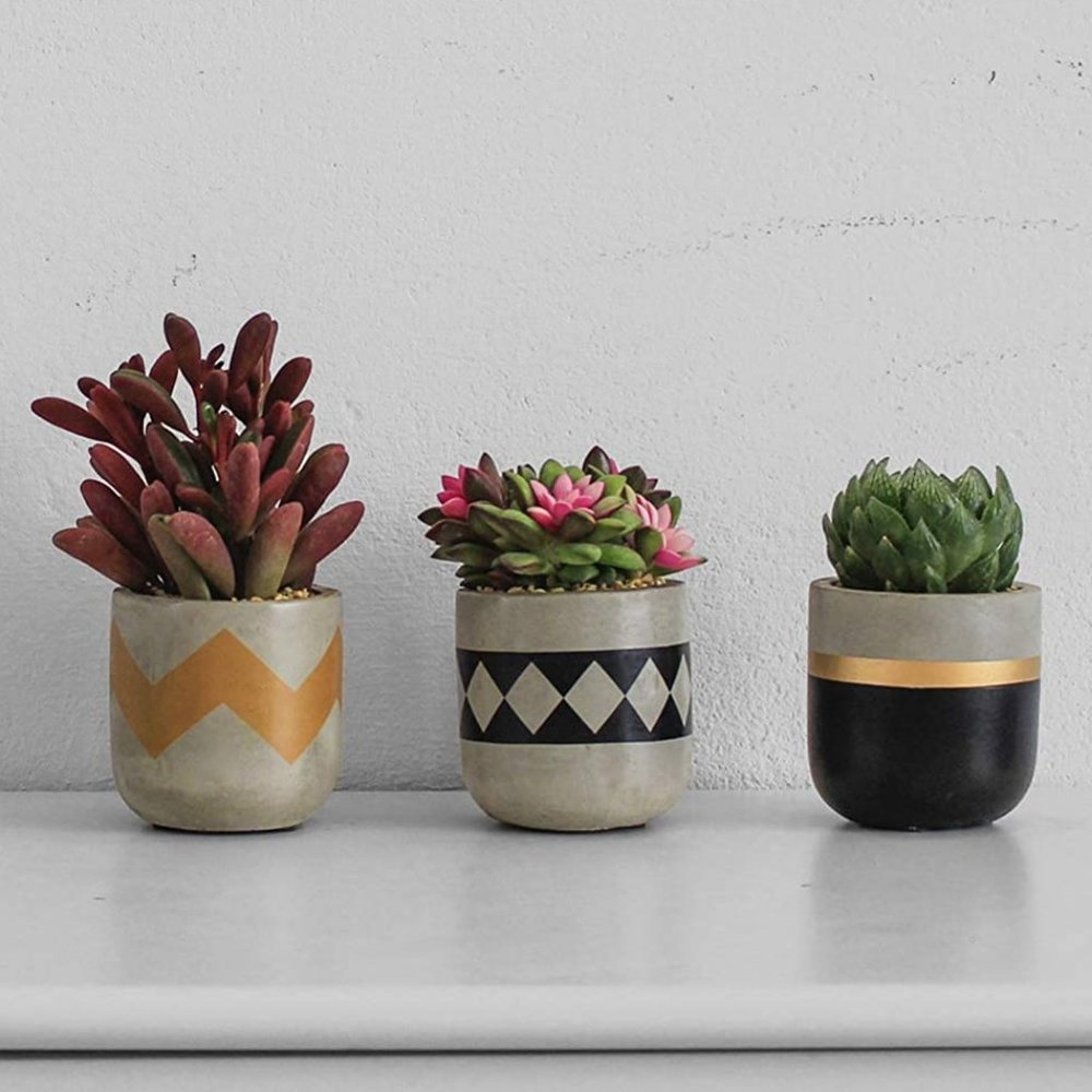 🌻NEW🌻 Modern Farmhouse Succulent Plant Pots - Picture 4 of 8